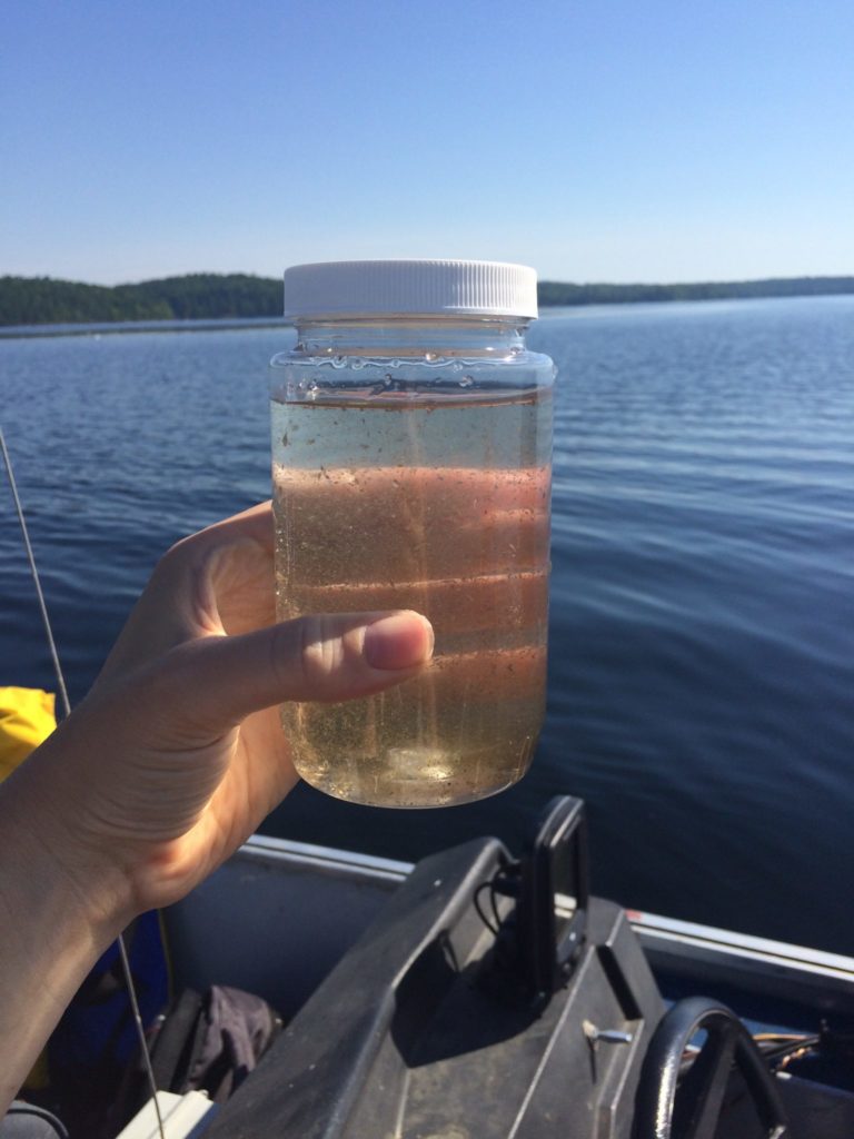An example of a water sample to be sent for further lab testing to measure Total Kjeldahl Nitrogen