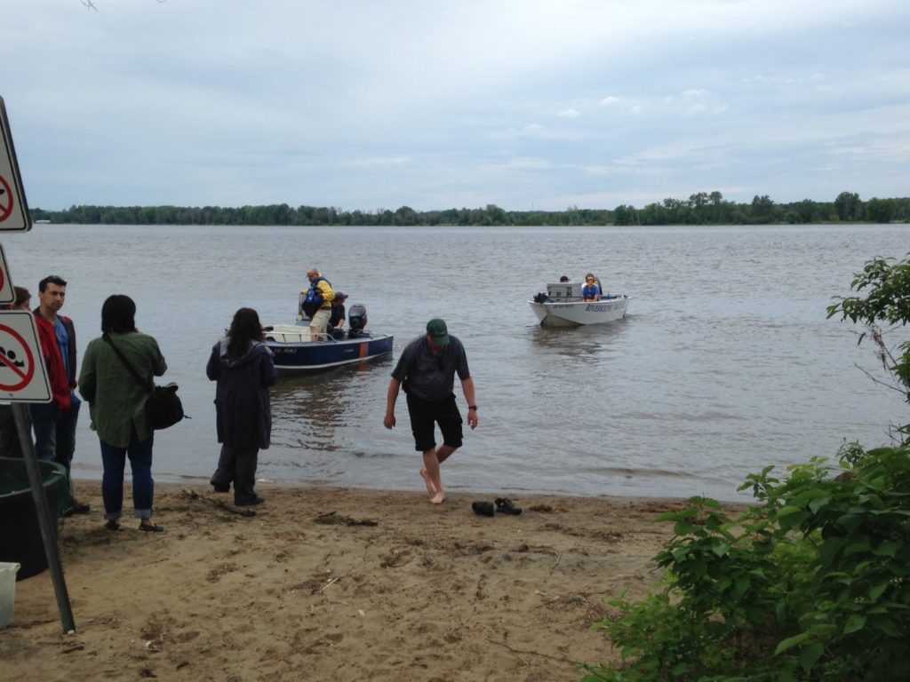The boats returning to shore after the first eels had been released.