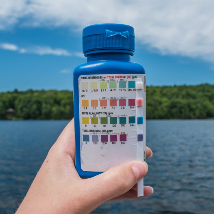 La bandelette de test taylor en bouteille et le tableau de référence, utilisé pour mesurer l'alcalinité dans l'eau douce en comparant le changement de couleur.