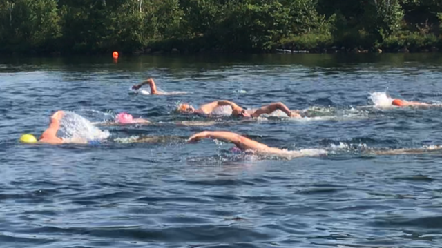 Open-water swimmers in Nepahwin Lake