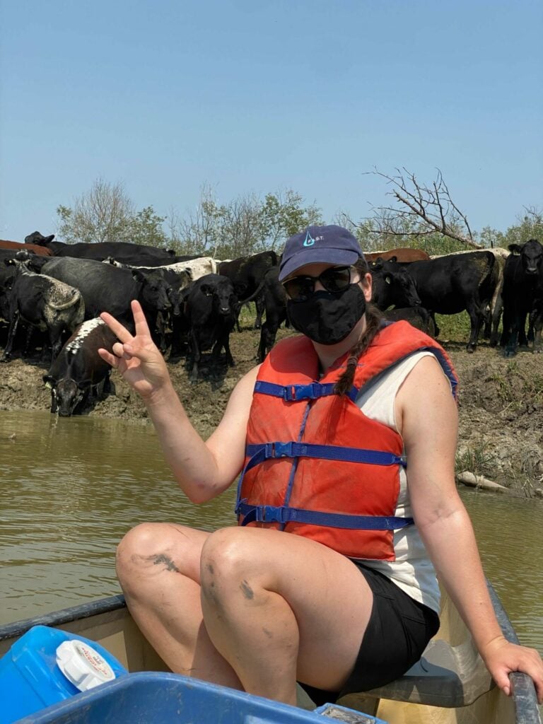 Erin sits on a canoe in a dugout with cows drinking in the background. 